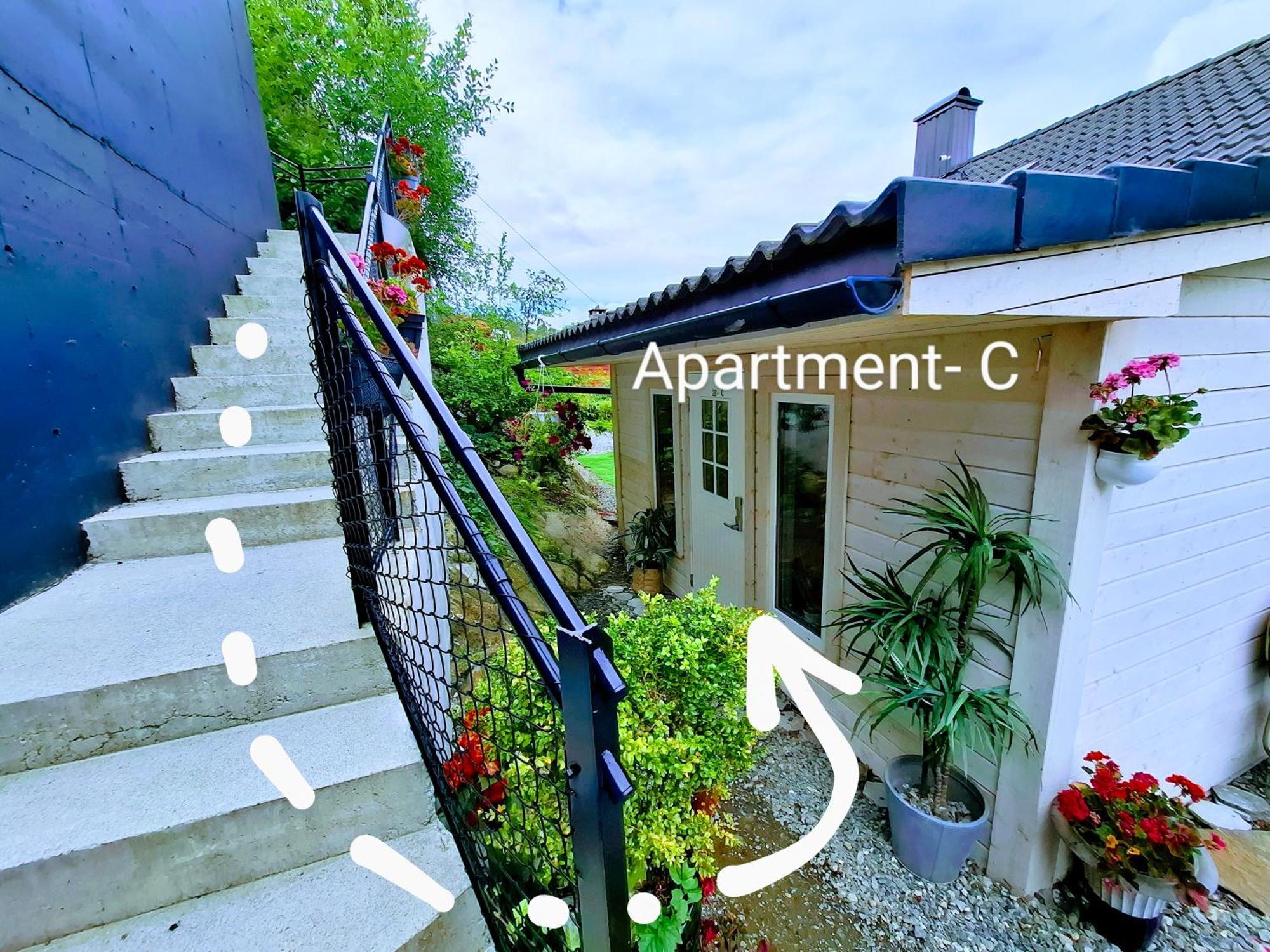 Bergen Sunrise Terrace Apartment Eksteriør billede